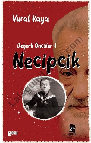 Necipcik