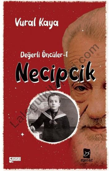 Necipcik